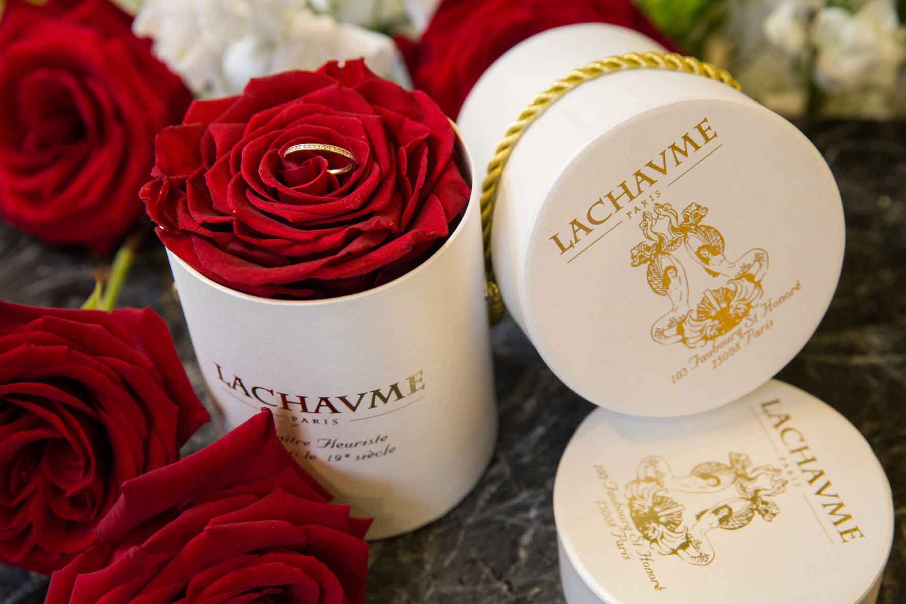 Rose éternelle Parfumée 48cm Stabilisée - Rose Naturelle D'Équateur, Couleur Hot Pink | Cadeau Romantique Saint-Valentin, Anniversaire