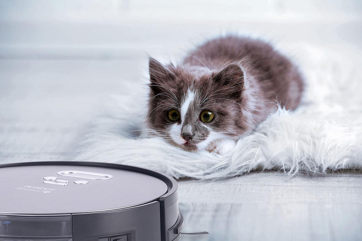 Avec le robot aspirateurlaveur Animal Premium H20 Connect fini les